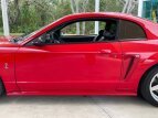 Thumbnail Photo 14 for 1999 Ford Mustang Cobra Coupe